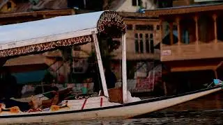 Beautiful Dal Lame Shikara at Srinagar, Jammu and Kashmir