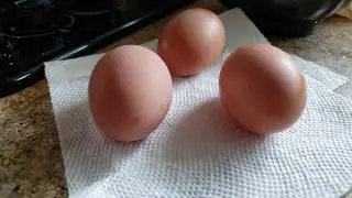 Farm Fresh Eggs VS sore bought. How they taste. FREE EGG FOR SUBSCRIBE