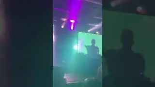 MYSTERY SKULLS FREAKING OUT LIVE
