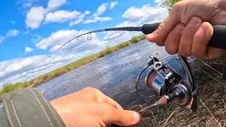 ЭТИ ПРИМАНКИ БЕЗОТКАЗНО ЛОВЯТ в мае! Рыбалка на спиннинг на реке в 2024