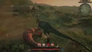 Random Maip Gameplay