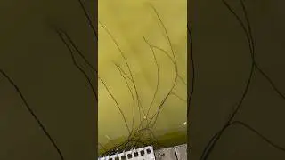 Не детский улов! 🫣