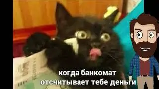 Коты и банкомат