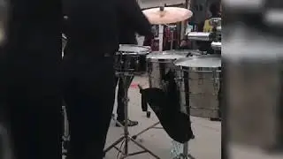 Negrita he ha he | TAROLERA 🥁🥁 Maggie