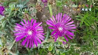 40년전 추억이 남긴노래 최희경-그리움(작곡:이동훈/작사:이세진)_18.07/24_사진촬영영편집 이상웅