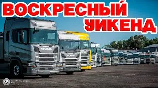 ETS 2 🔴ВОСКРЕСНЫЙ УИКЕНД  VTC World в Multiplayer / Logitech G27 gameplay