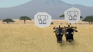 Wildebeest from BirdboxStudio