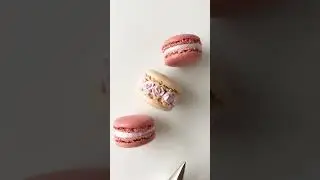 Pretty Mini Rose Macaron