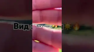 Ранок у Норвегії #shorts