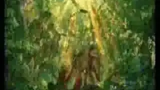 Jane is Tarzan's butterfly