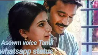 jodi nilave whatsapp status||DL CHRIS