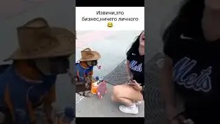 Это бизнес,ничего личного  #собака #шортс #собакен #dog #shorts