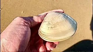 Pismo Beach California Catch Of The Day... And It's Not Just Seafood.