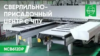 Nanxing NСB612DP  Сверлильно присадочный центр с ЧПУ нового поколения. Автоматизация производства