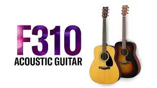 Crossroads: F310 Acoustic Guitar, Passion Transcends