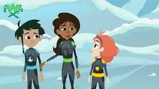 Galapagos X - Hare out of Place - Clip