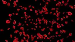 Rose Flowers Falling Animation