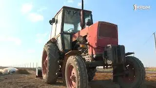 Деревенское счастье Татьяны и Геннадия Сурковых