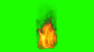 Camp Fire green screen animation||Green screen 