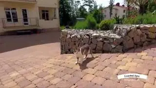 Коттеджный поселок "Сосновый берег" на берегу Черного моря