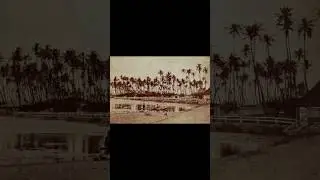 КАК ГАВАЙИ ЧУТЬ НЕ СТАЛИ ЧАСТЬЮ РОССИИ? #shortvideo