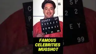 THE 10 BEST CELEBRITY MUGSHOTS