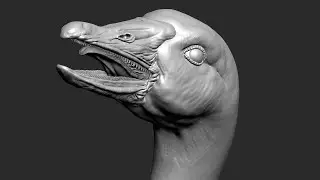 Goose Head Sculpting in Zbrush 2022 - Study