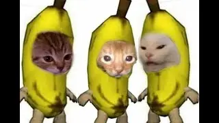 Hideaki_Himashi забыл пароль от аккаунта! :) Алкострим