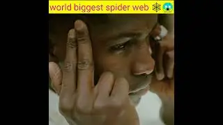 biggest spider web#facts #hindifacts #dog #edit #shorts