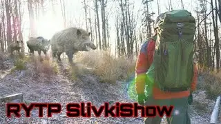 Выживание в лесу [RYTP SlivkiShow]