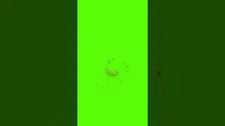 Green Screen Round Fire 