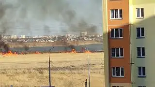 В Кургане сжигают камыши