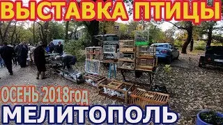 ВЫСТАВКА ПТИЦЫ .МЕЛИТОПОЛЬ .ОСЕНЬ 2018год
