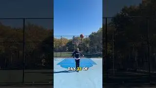 Day 23 Of Making A Trickshot Until I Get 100,000 Subscribers ⛹🏽‍♂️ #basketball #trickshots #nyc
