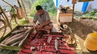They can shred fish like potatoes in seconds 🐠🐟🐟