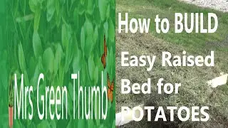 How to BUILD    Easy Raised Bed for POTATOES