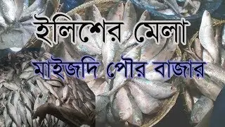 রমরমা ইলিশের মেলা ।। 08-10-2019 Elisa Mela