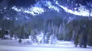 EXCLUSIVE YELLOWSTONE: CAMERA SHAKING EVERYWHERE, TREES 2?