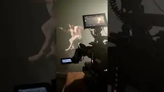 Rodando 