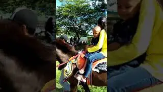 naik kuda liburan bersama keluarga bikin aku ketagihan