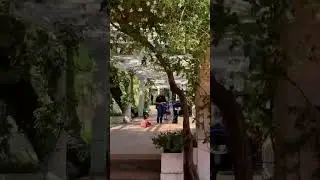 BUENOS AIRES: Rosedal de Palermo - ARGENTINA