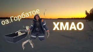 озеро горбатое. ХМАО. Белоярский район