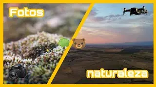 FOTOS de NATURALEZA 🌳