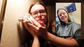 getting dental implants | part 3: getting the implants!!
