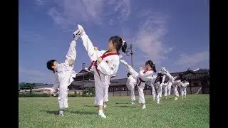 Полная история тхэквондо