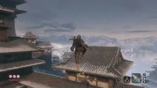 When you start a Sekiro NG+ run
