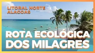 ✅ | LITORAL de ALAGOAS - Rota Ecológica dos Milagres