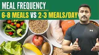 6-8 Meals vs 2-3 Meals/Day ??