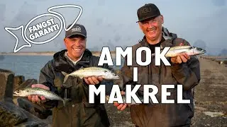 MAKRELTUR I AGGER // FANGSTGARANTI