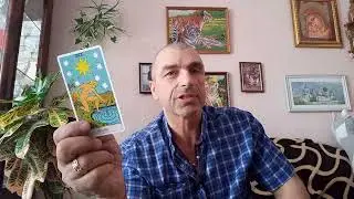 Карта дня. Звезда. значение...